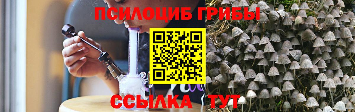 Артём  Псилоцибиновые грибы мицелий  Вход с VPN  Псилоцибиновые грибы Psilocybine cubensis 