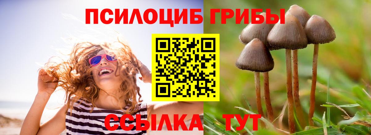 Псилоцибиновые грибы мухоморы Артём